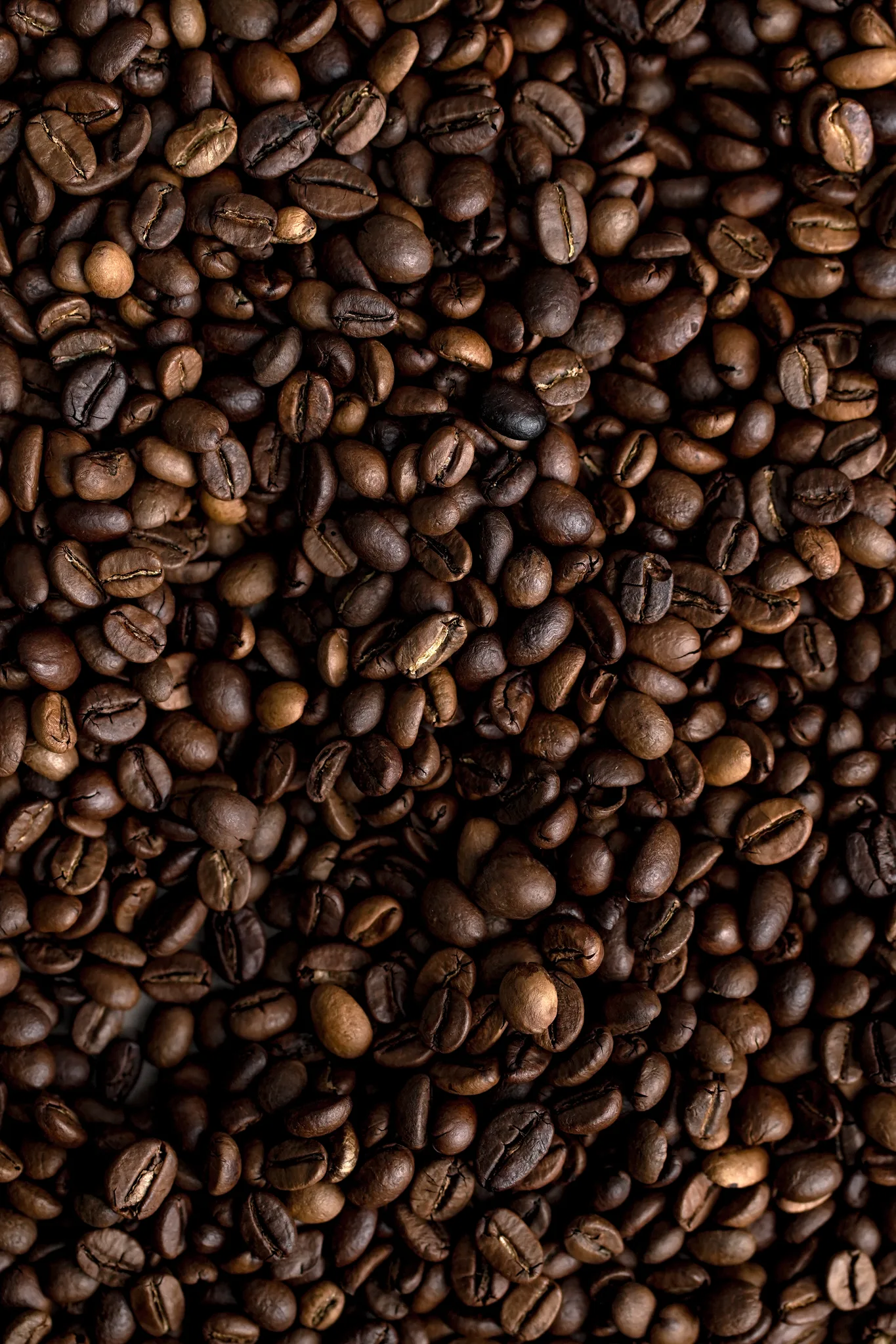 Freshly roasted single-origin coffee beans